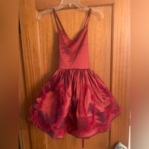 Dollcake Tinsel Dress  NWT size 7